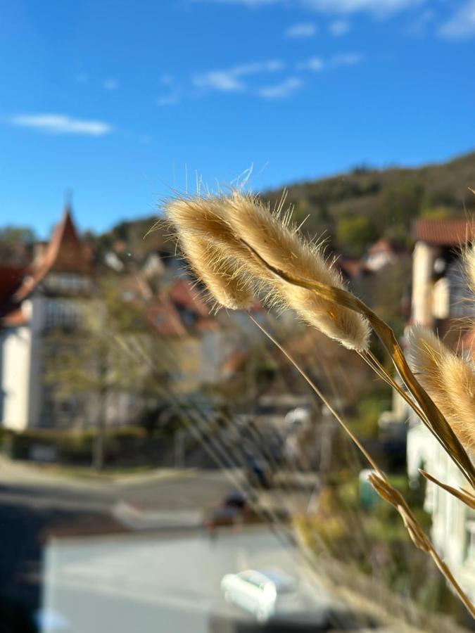 Apartamento Turm.Blick Goslar Exterior foto